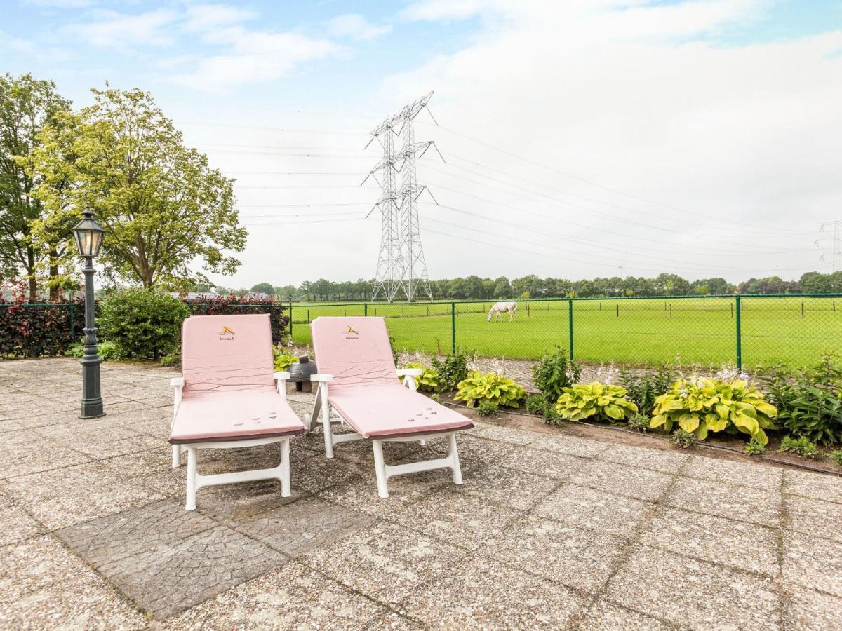 Cozy Holiday Home In Oisterwijk With Swimming Pool Exteriér fotografie